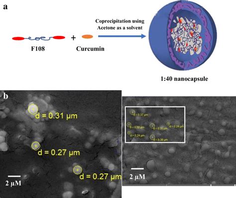 A Schematic Illustration Showing The Formation Of Nanocapsules B