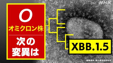 オミクロン株の症状・重症化や感染力などは Ba1 Ba2 Ba275 Ba4 Ba5 Xeとは コロナ変異ウイルス最新情報｜nhk