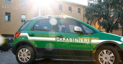 Attività dei Carabinieri Forestali nella Regione Marche nel 2021