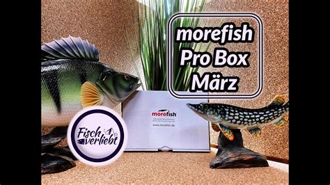 WoW Was für eine starke Box morefish Pro Box für den Monat März