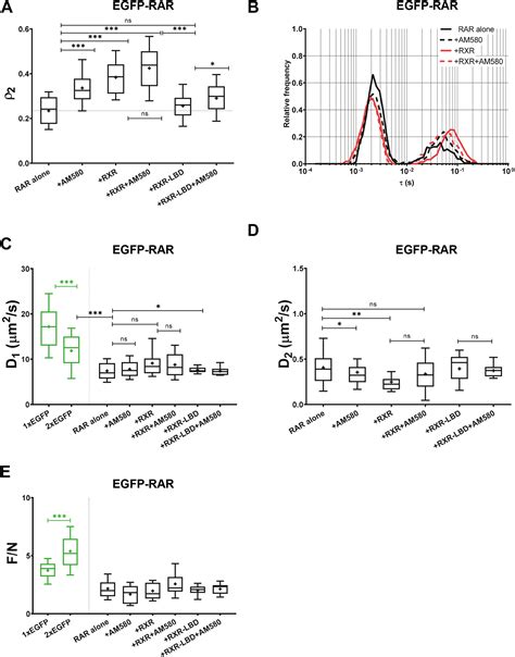 Agonist Controlled Competition Of Rar And Vdr Nuclear Receptors For