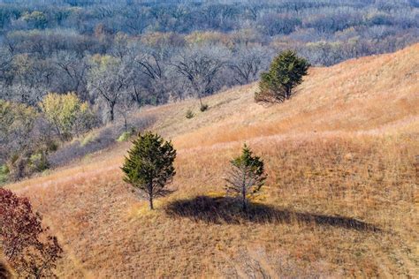 Los 10 Mejores Vecindarios En Eden Prairie Minnesota Kurby Real Estate Ai