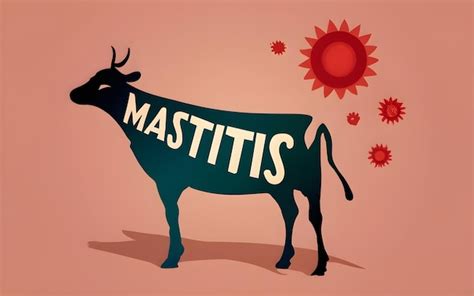 Premium Ai Image Dairy Cows Mastitis