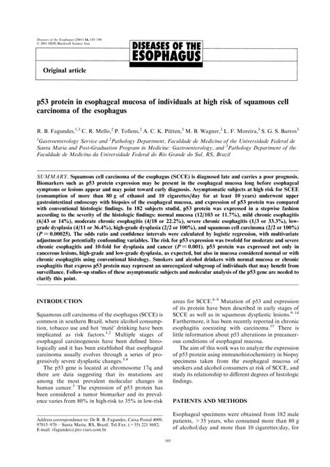 Pdf P53 Protein In Esophageal Mucosa Of Individuals At High Risk For