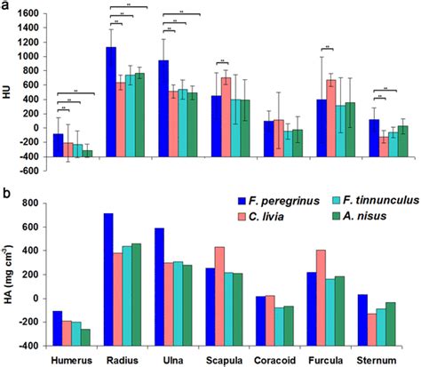 A Hounsfield Units Hu Mg Cm− 3—measured Directly On The Bones—on The Download Scientific