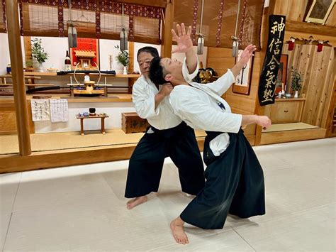 Iwama-ryu Aikido: Irimi-nage – The Eye of the Hurricane | BUDO JAPAN ...