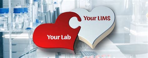 The Laboratories Guide To Getting A Lims Youll Love The Global Laboratory