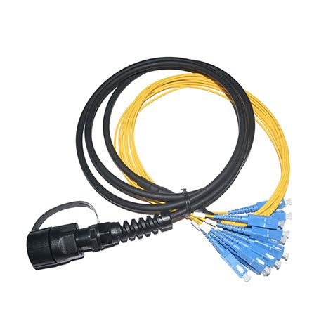 Ip Waterproof Assemblies Odva Lc Sc Mpo Fiber Optic Outdoor Patch