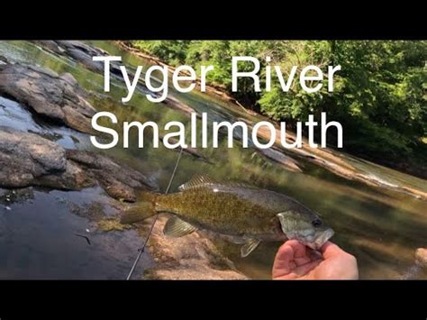 Fishing The Tyger River For Smallmouth Bass In Spartanburg Co YouTube