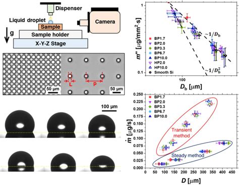 微结构双亲、疏水和光滑表面上的液滴蒸发动力学experiments In Fluids X Mol