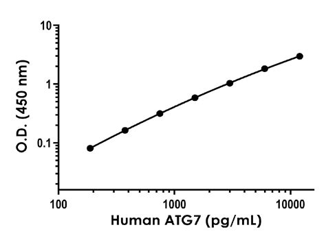 Human ATG7 ELISA Kit ab288169 アブカム