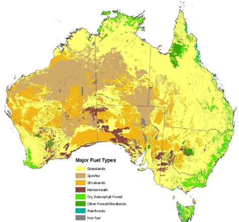 Requirements To Make A Naturalistic Substrate And Habitat Enclosures