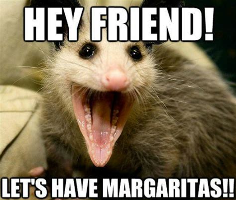 Margarita Memes For National Margarita Day That Are Relatable To Most Margarita Lovers