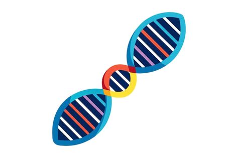 Chromosome And DNA Structure On White Background Premium AI Generated