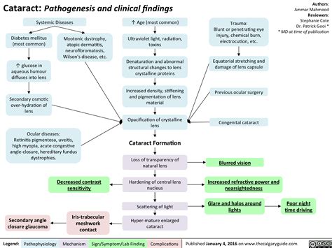 Cataract: Pathogenesis and clinical findings | Calgary Guide