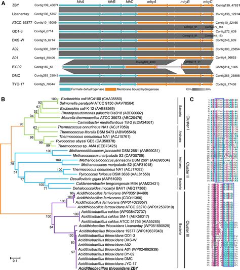 Frontiers In Silico Genome Wide Analysis Reveals The Potential Links