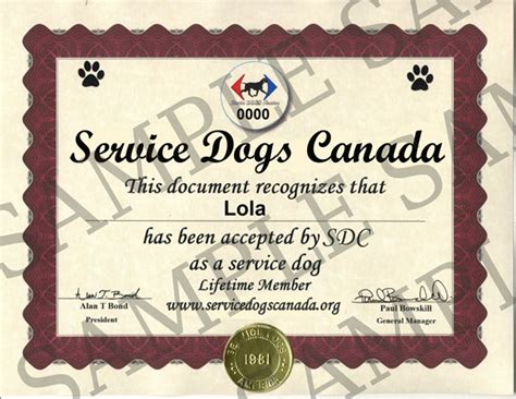 Printable Service Dog Certificate - prntbl.concejomunicipaldechinu.gov.co