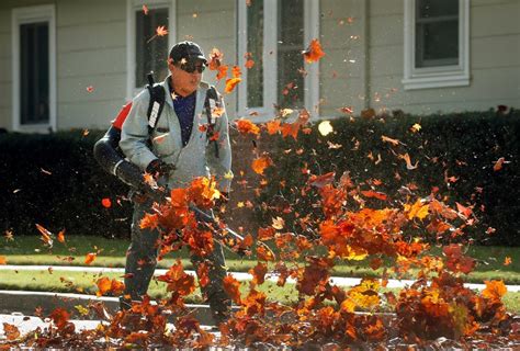 How Californias New Ban On Gas Powered Leaf Blowers Lawn Mowers And Other Outdoor Equipment