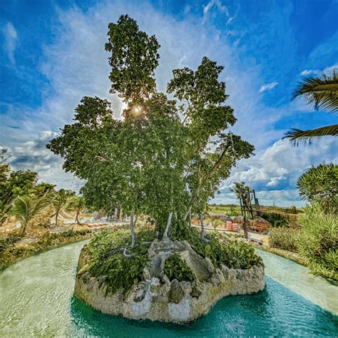 El Rbol De La Fuente Perpetua El Dorado Park