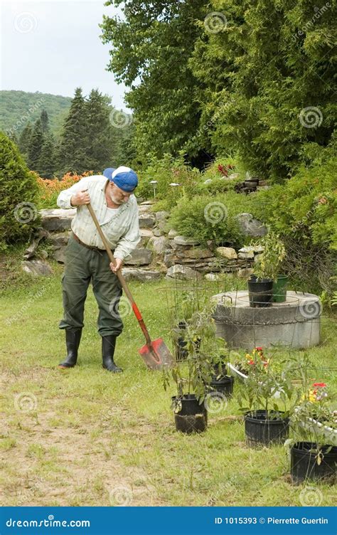 Senior gardening 2 stock image. Image of busy, adult, garden - 1015393