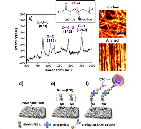 A Compositional Analysis Of The Plga Nanofibers Through Raman