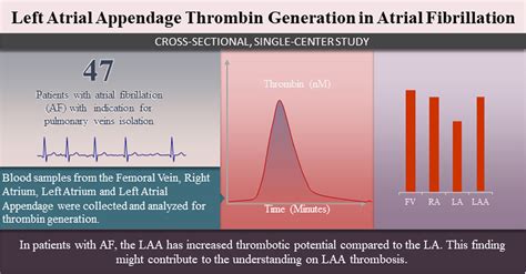 Elevated Thrombin Generation Levels In The Left Atrial Appendage In