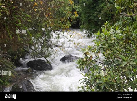 A Stream Of Rushing Water In The Ecuadorian Amazonian Rainforest