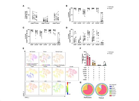 Co Expression Of CD69 CXCR6 TIGIT CD160 Ly9 And NKG2D Defines A