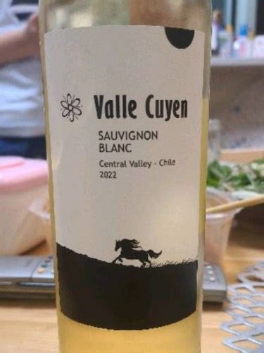 Vina Ralco Valle Cuyen Sauvignon Blanc Vivino US