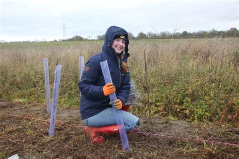 Three Thousand Trees Planted On Cambs Farm In Single Weekend