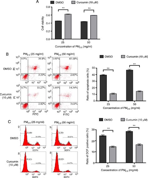 Figure 2 From Curcumin Protects BEAS2B Cells From PM2 5induced