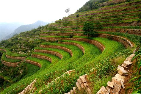 Terracing Greenerland