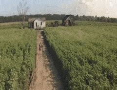 Forrest Gump Running Gif - IceGif