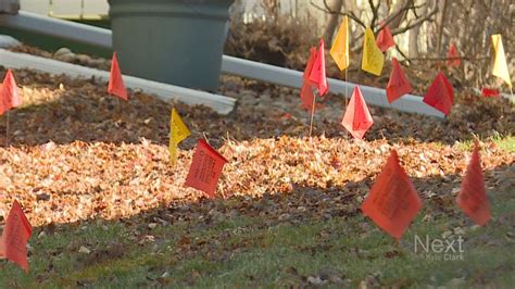 Decoding The Colored Utility Flags You See At Digging Sites