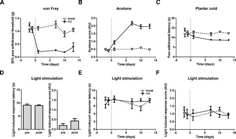 Figure 1 From VGluT3 Primary Afferents Play Distinct Roles In