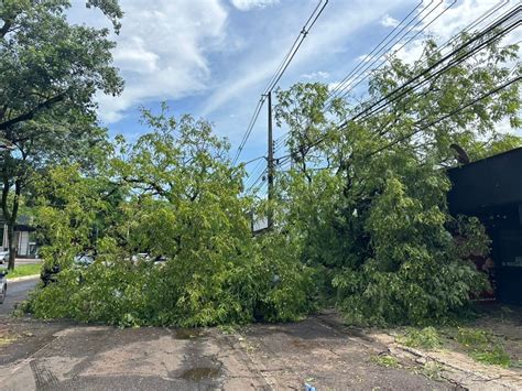 Temporal No Centro De Foz Derruba Rvores E Deixa V Rias Resid Ncias