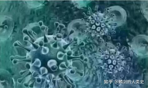 【地球生物全系列——真菌篇】真菌界—罗兹菌门（隐真菌门） 知乎