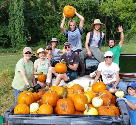 Our Valiant Volunteers In Action Rolling Harvest Food Rescue