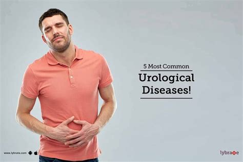 5 Most Common Urological Diseases By Dr Shilpi Tiwari Lybrate