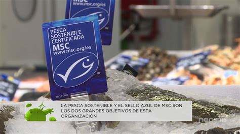 La Importancia De La Pesca Sostenible Para La Salud De Nuestros Océanos