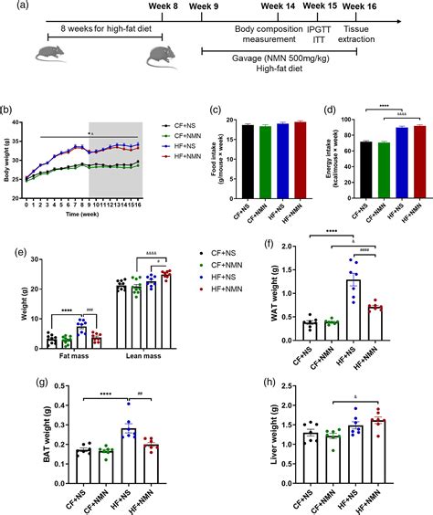 Nicotinamide Mononucleotide Alters Body Composition And Ameliorates