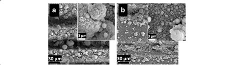 SEM Images Of Laser Processed Silicon At Five Overlaps OL With Line