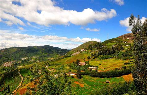 Best Time To Visit Ooty With Activities And Places To Stay