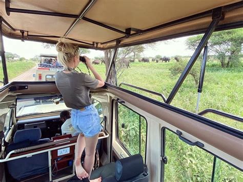 4 Days Serengeti Ngorongoro Tarangire Safari Tanzania Wilderness Experience Visit Serengeti