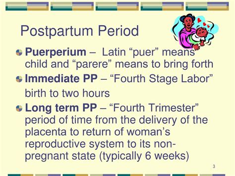 Ppt Postpartum Nursing Powerpoint Presentation Free Download Id 333323 F55