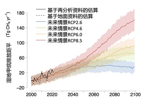 研究发现：全球湿地甲烷排放加剧 观测 张臻 团队