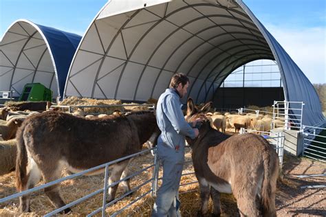 Le Plein D Animations La Ferme P Dagogique De Navarre Vreux Nature