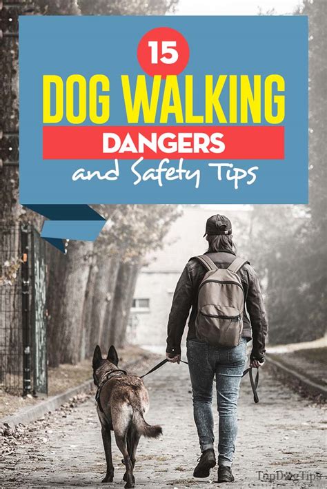 15 Dog Walking Dangers and Safety Tips All Pet Owners Must Know