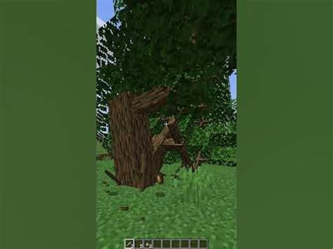 Мод на РЕАЛИСТИЧНЫЕ деревья в Майнкрафт - Dynamic Trees #Shorts - YouTube