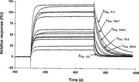 Figure 3 From Affinity Maturation Of A Taq DNA Polymerase Specific